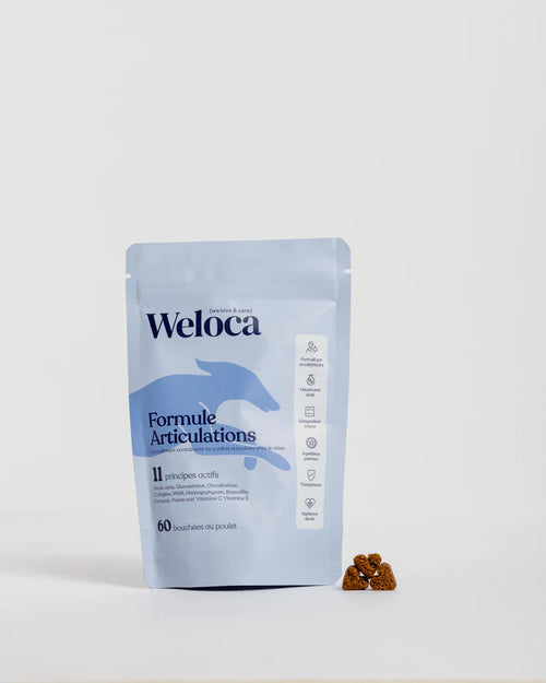 Φυσική Υποστήριξη Αρθρώσεων & Κίνησης για Σκύλους — 60 Μασώμενες Μπουκιές