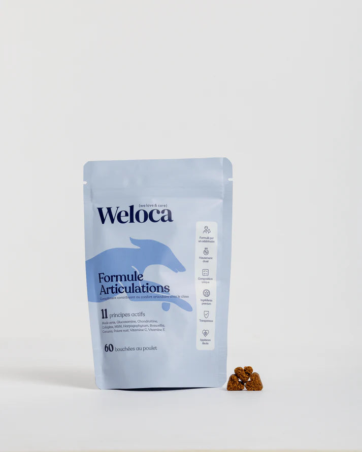 Φυσική Υποστήριξη Αρθρώσεων & Κίνησης για Σκύλους — 60 Μασώμενες Μπουκιές