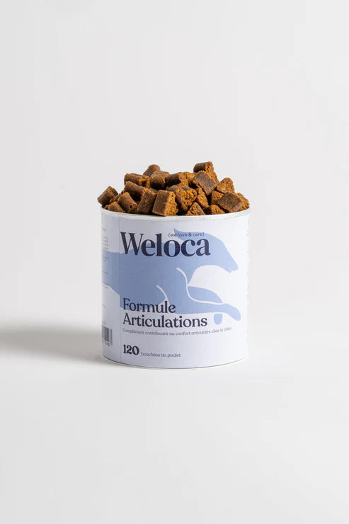 Φυσική Υποστήριξη Αρθρώσεων & Κίνησης για Σκύλους — 120 Μασώμενες Μπουκιές